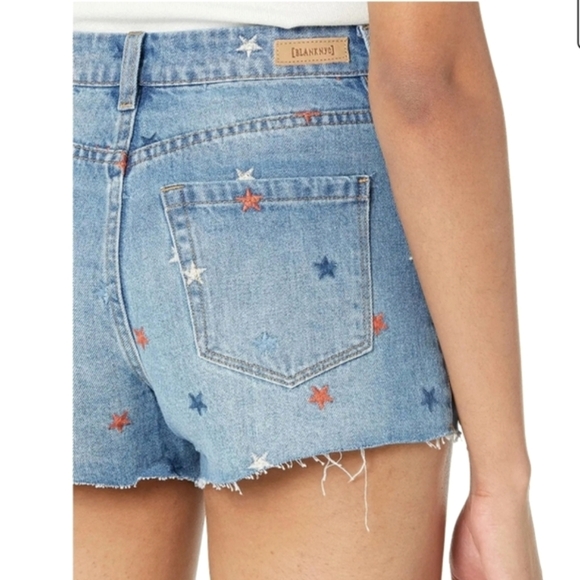 BlankNyc x Revolve Embroidered Shorts - Picture 7 of 12